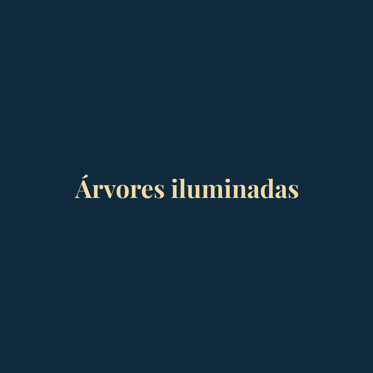Imagem provisória – Árvores iluminadas